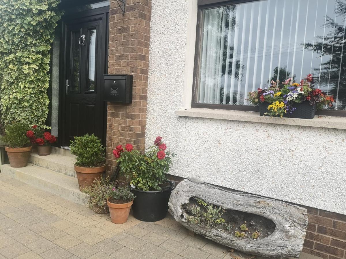 Barnescroft Hotel Kilkeel Eksteriør billede